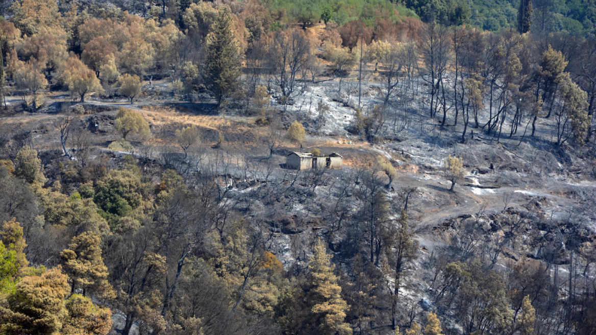 Πυρόπληκτοι: Πίστωση 2,46 εκατ. ευρώ σε 630 δικαιούχους