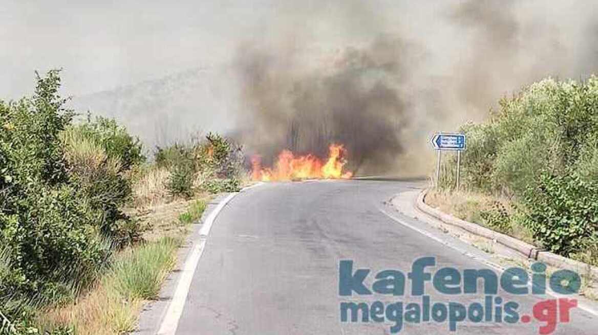 Φωτιά στην Αρκαδία: Σε ύφεση το πύρινο μέτωπο - Με εγκαύματα στο νοσοκομείο ο αντιδήμαρχος Πολιτικής Προστασίας Μεγαλόπολης