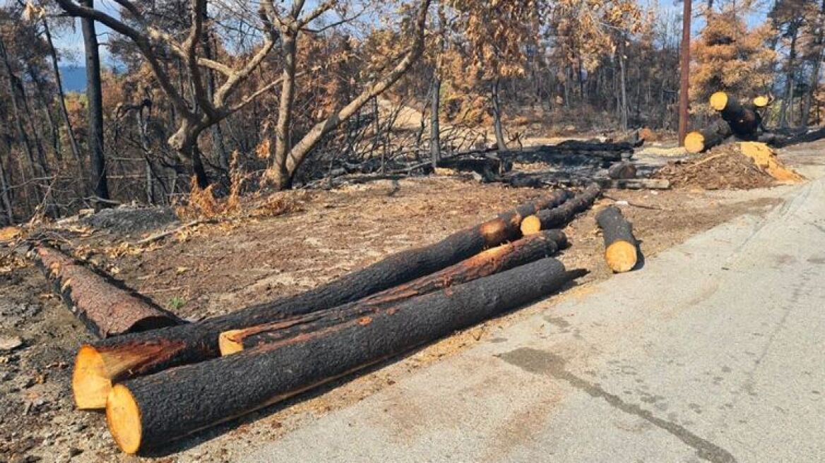 Ολοκληρώνονται οι αντιδιαβρωτικές και αντιπλημμυρικές μελέτες στην Βόρεια Εύβοια