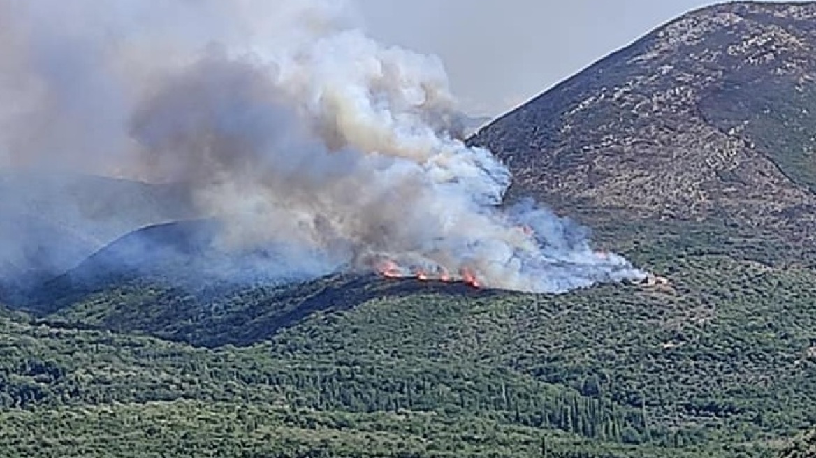 Φωτιά τώρα σε δασική έκταση στην Ανατολική Μάνη