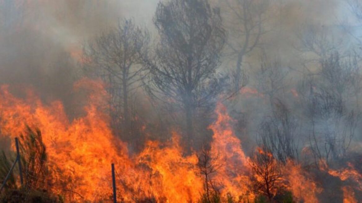 Φωτιά τώρα στο Γούμερο Ηλείας, έξω από τον Πύργο