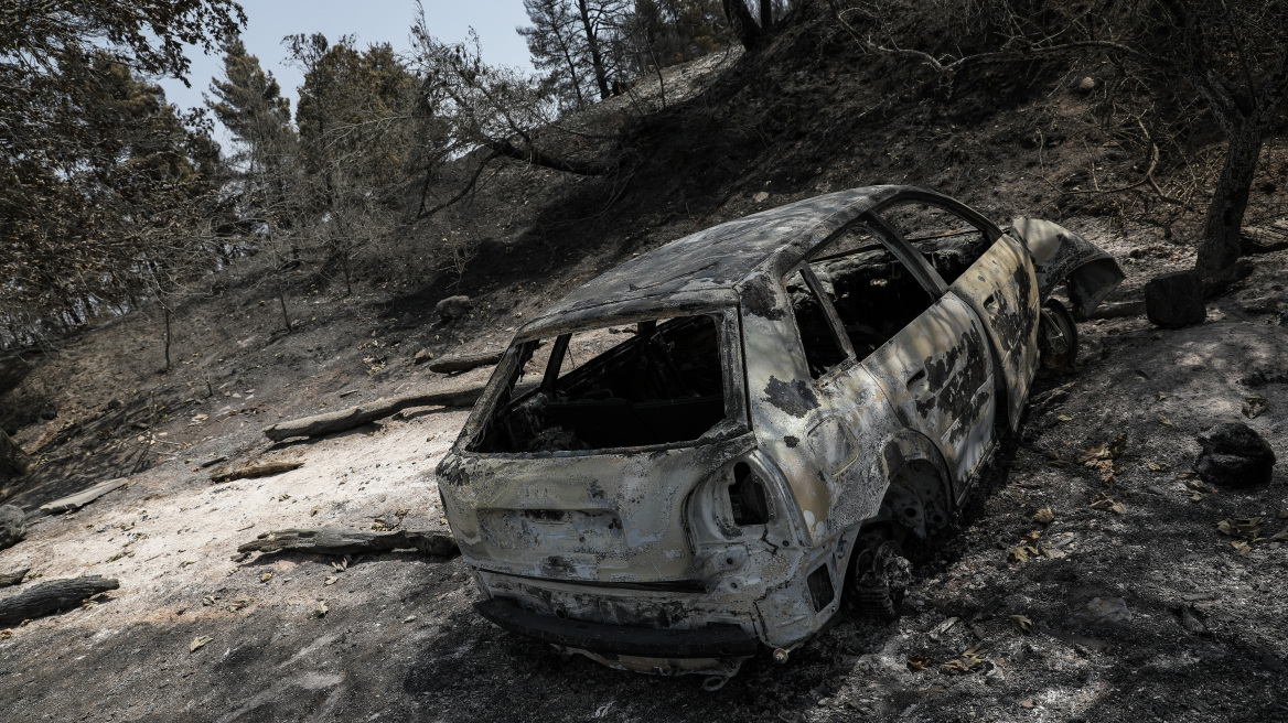 Βόρεια Εύβοια: Τρεις μήνες μετά τις πυρκαγιές, οι εργασίες προχωρούν, ενώ οι πληγές παραμένουν