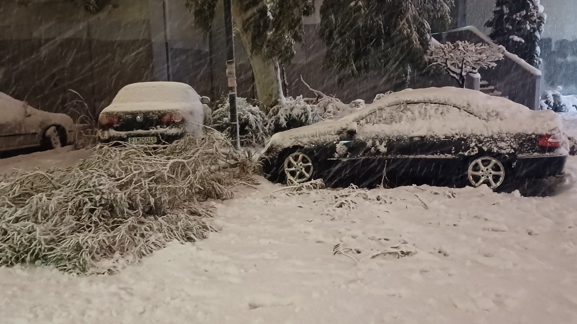 Κυκλοφοριακό χάος στο κέντρο της Αθήνας, έπεσαν δέντρα και έκλεισαν δρόμοι - Βίντεο και φωτογραφίες