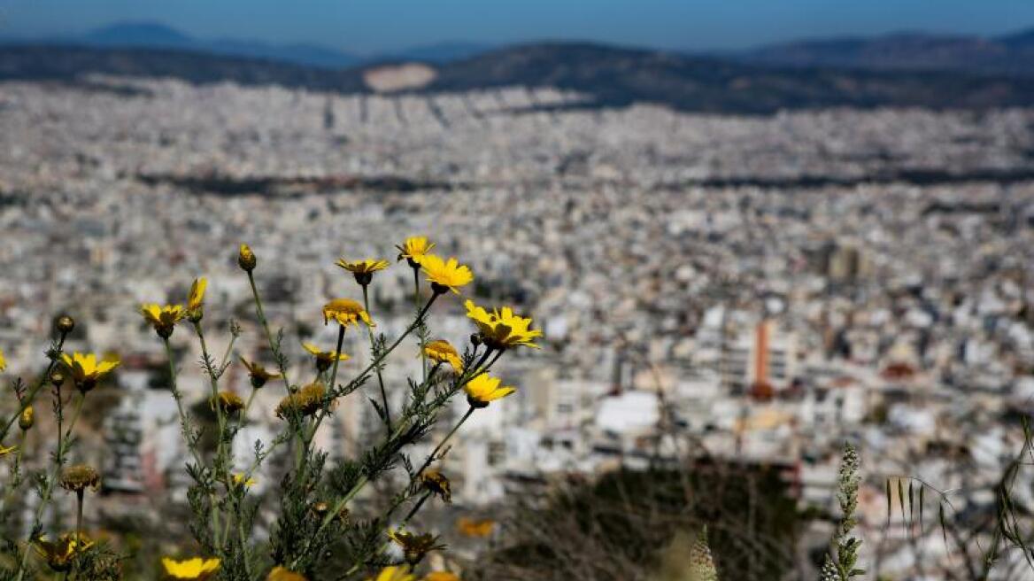 Πώς η κλιματική αλλαγή μπορεί να φέρει την άνοιξη νωρίτερα έως και 16 μέρες μέχρι το 2100