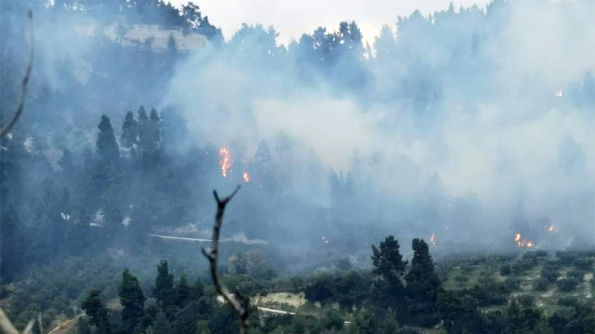 Φωτιά στην Χαλκιδική: Οριοθετήθηκε η μεγάλη πυρκαγιά - «Κάποιος έκαιγε κλαδιά», λέει η δήμαρχος