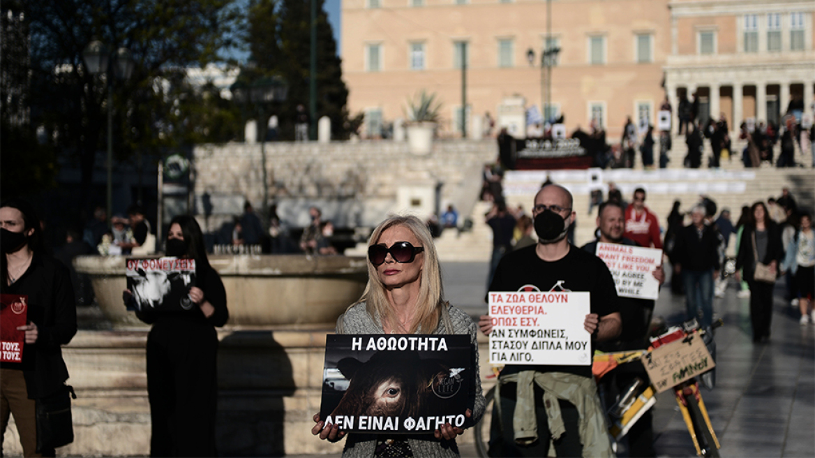 Να σταματήσει το «βάρβαρο» έθιμο του σουβλίσματος του αρνιού, είπαν δεκάδες vegan στο Σύνταγμα