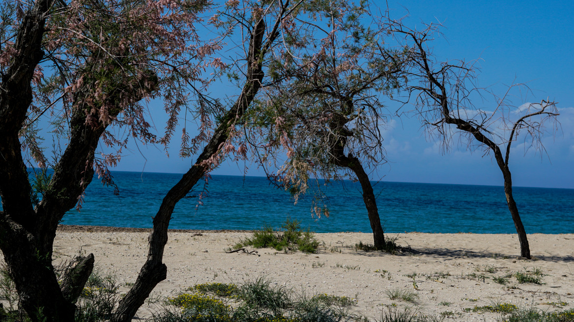 Καιρός: «Καλοκαιρινή» η Δευτέρα του Πάσχα - Έως τους 31 βαθμούς Κελσίου η θερμοκρασία