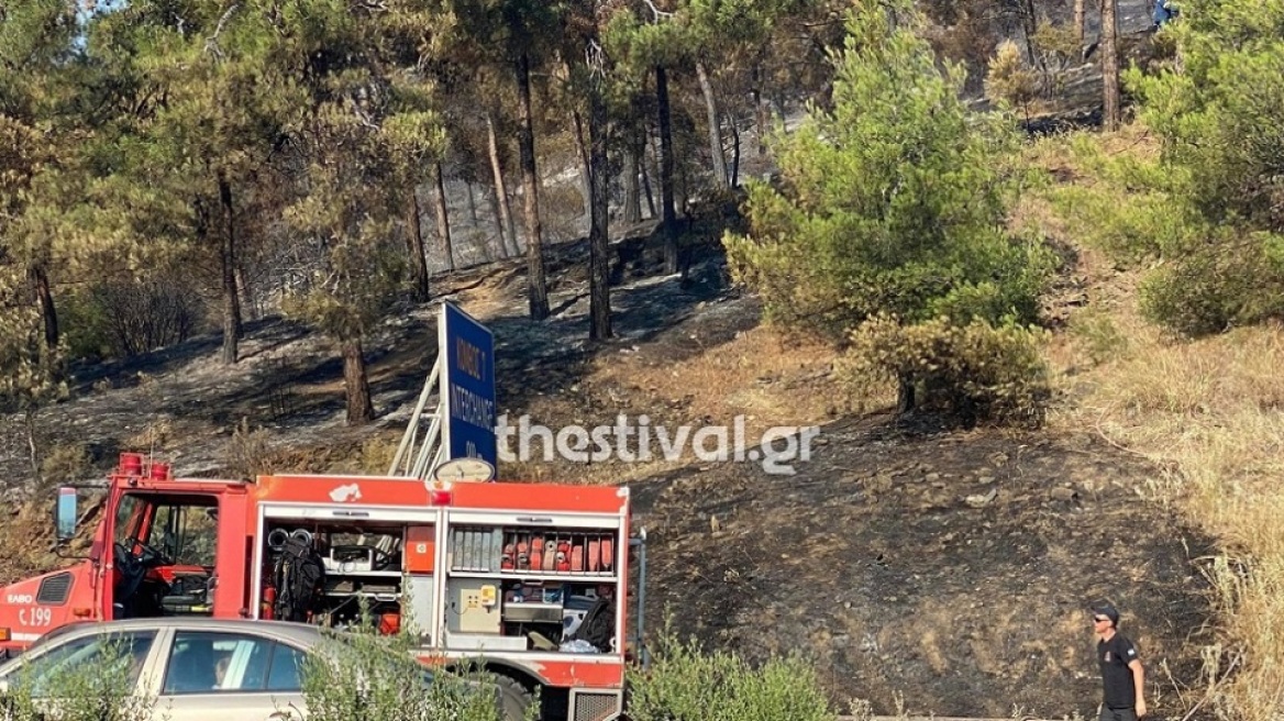 Σέιχ Σου: Φωτιά ξέσπασε στο δάσος