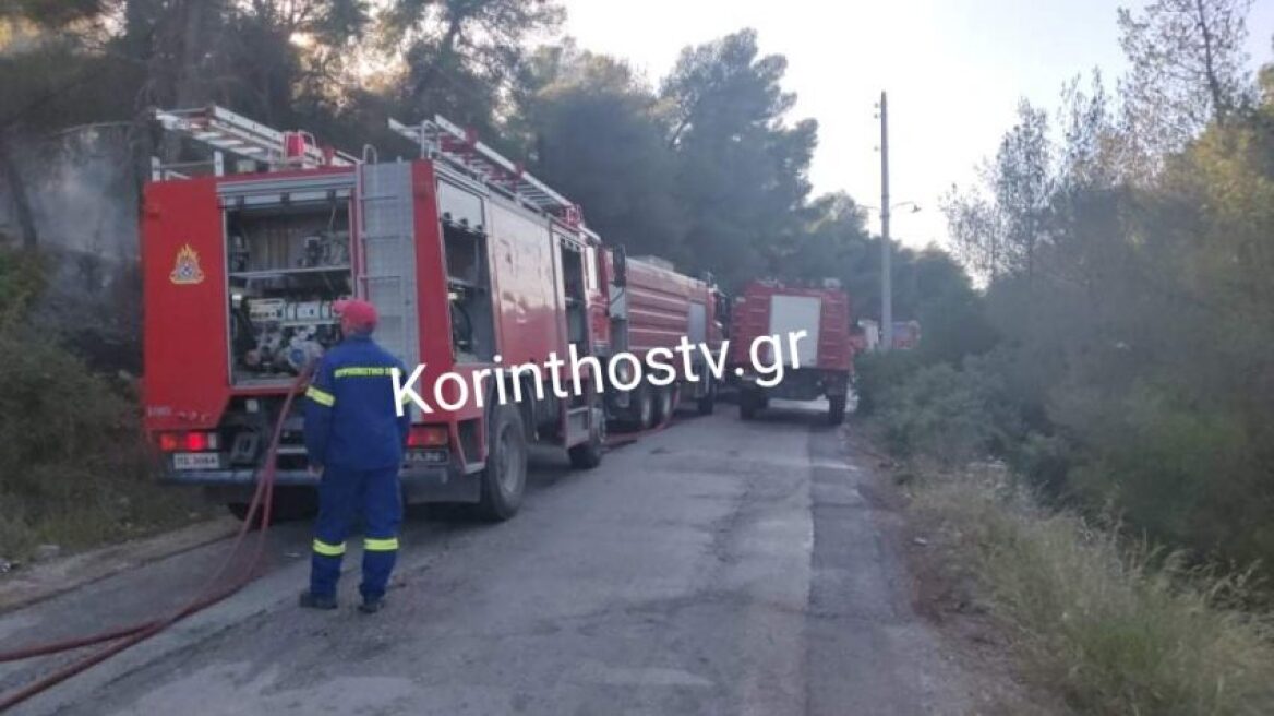 Πυρκαγιά σε δασική έκταση στις Κεχριές