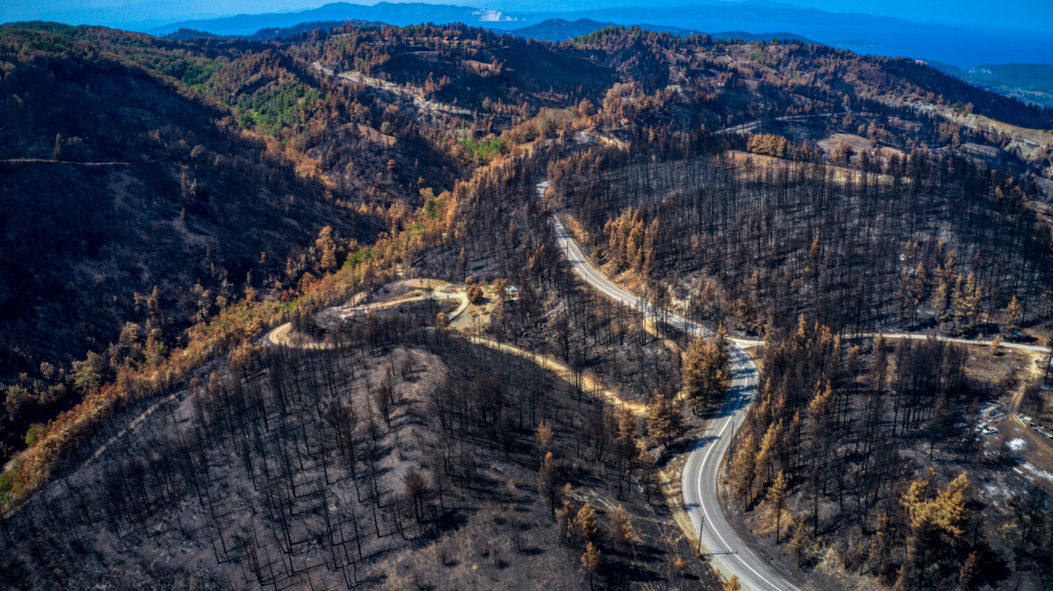 WWF: Το κράτος ξοδεύει πολλά για την καταστολή και ελάχιστα για την πρόληψη των πυρκαγιών