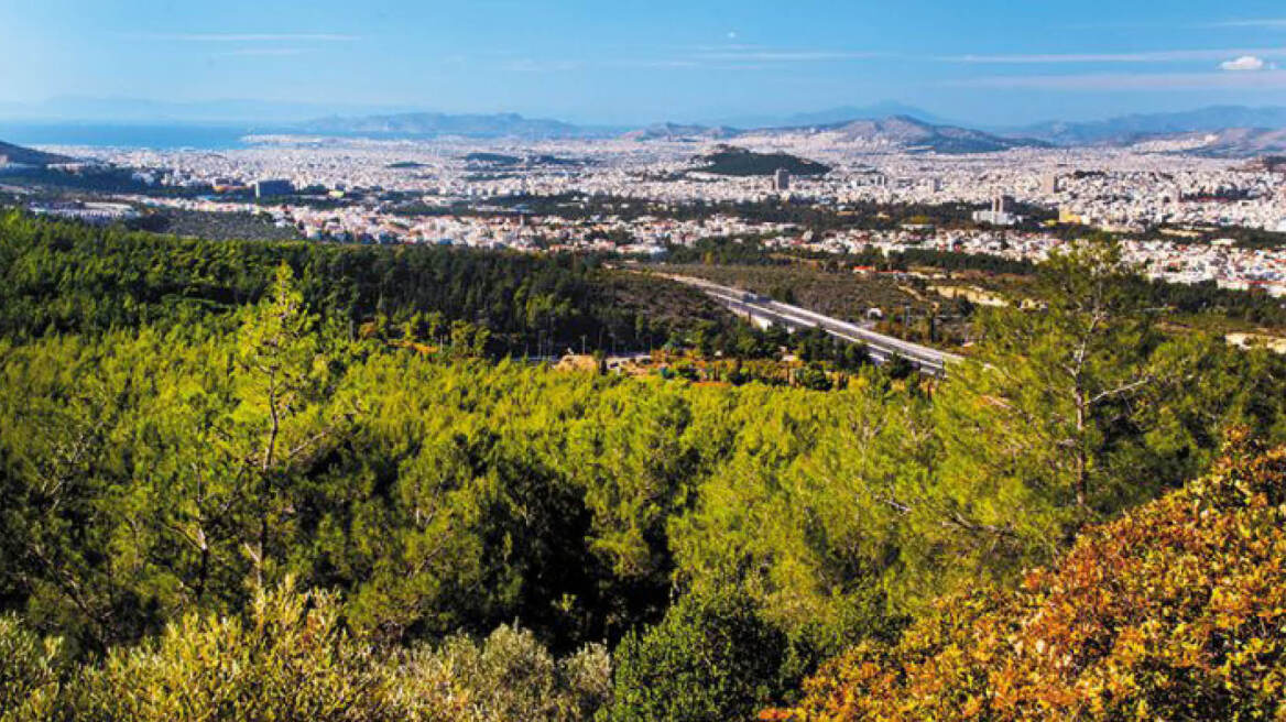 Συμβούλιο της Επικρατείας: Τι μπορεί να χτιστεί και τι όχι στον Υμηττό