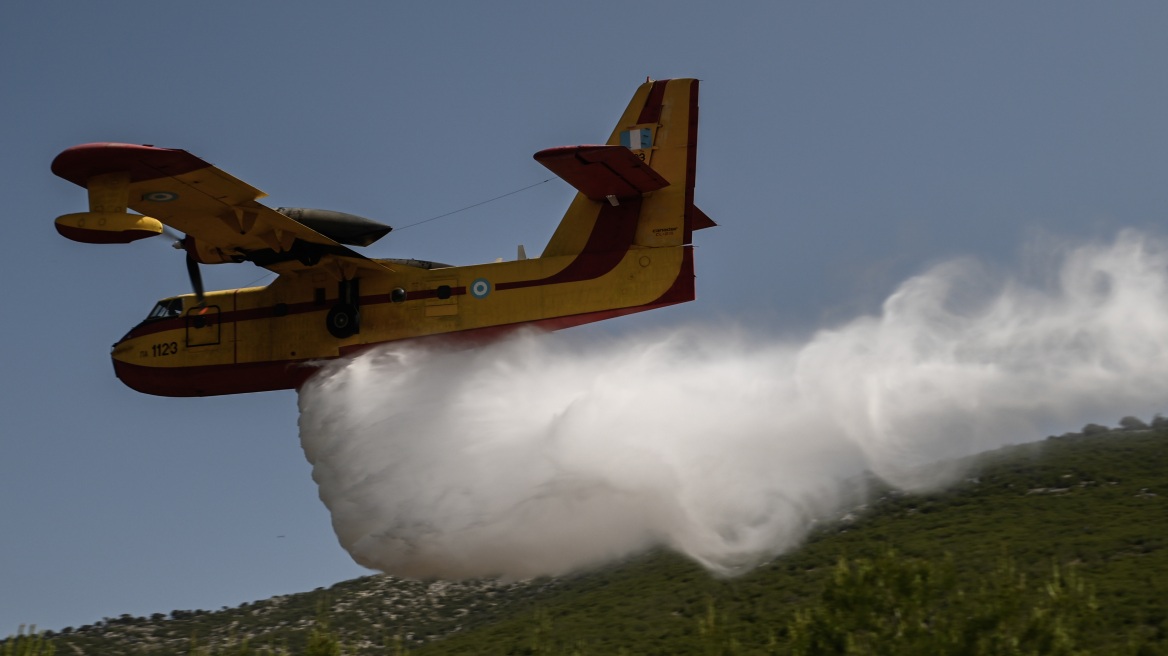 Πρωτοβουλία του WWF Ελλάς για τοπικά σχέδια δράσης πρόληψης των δασικών πυρκαγιών