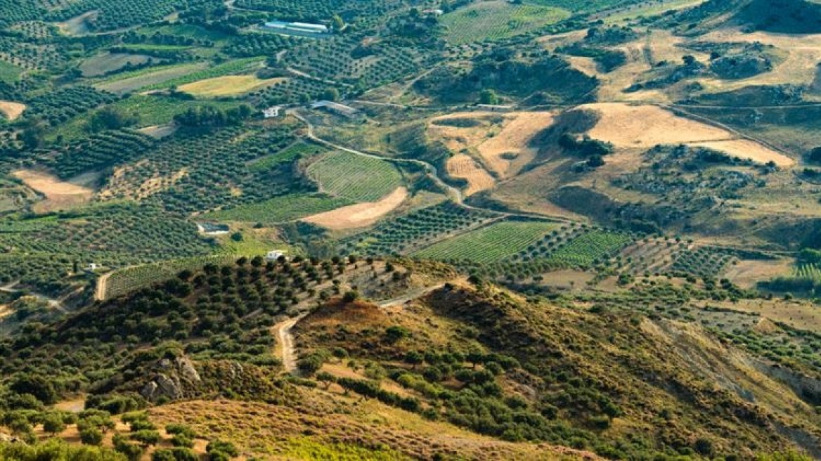 Παράταση 45 ημερών για την υποβολή αντιρρήσεων στους δασικούς χάρτες