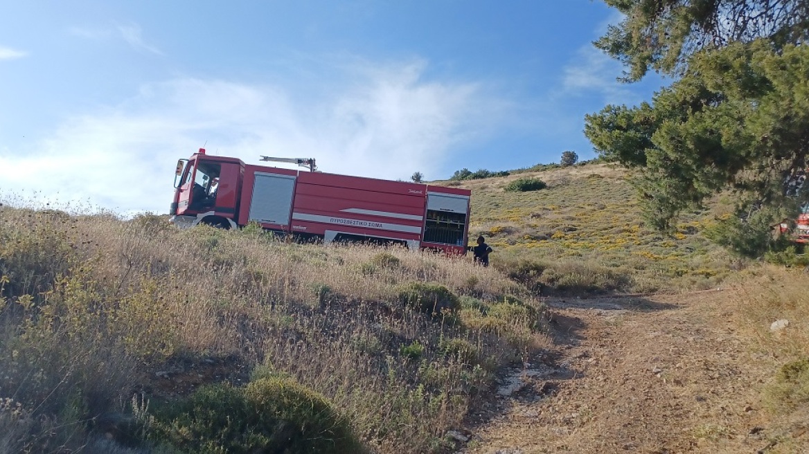 Φωτιά τώρα σε δασική έκταση στην Κερατέα