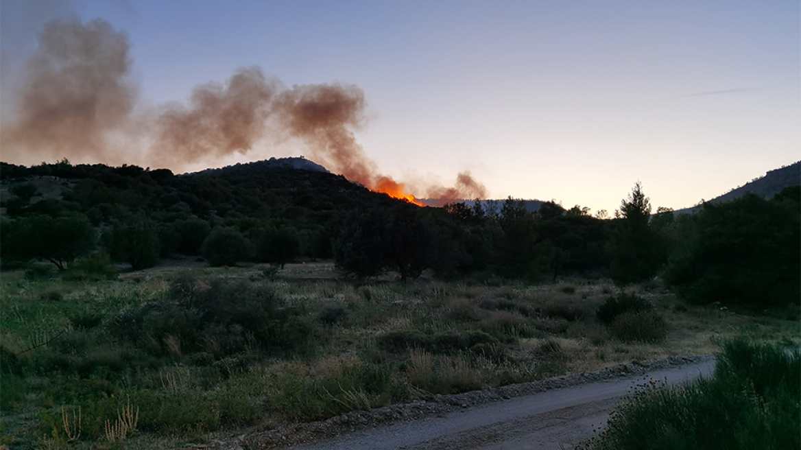 Φωτιά στη Βούλα: Στο πεδίο βολής της Σχολής Ευελπίδων το πύρινο μέτωπο