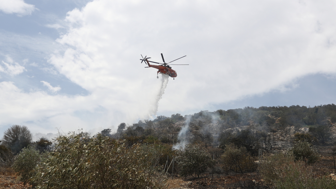 Φωτιά στην Αρτέμιδα: «Απειλήθηκαν σπίτια, αλλά η επέμβαση ήταν άμεση», λέει ο δήμαρχος της περιοχής