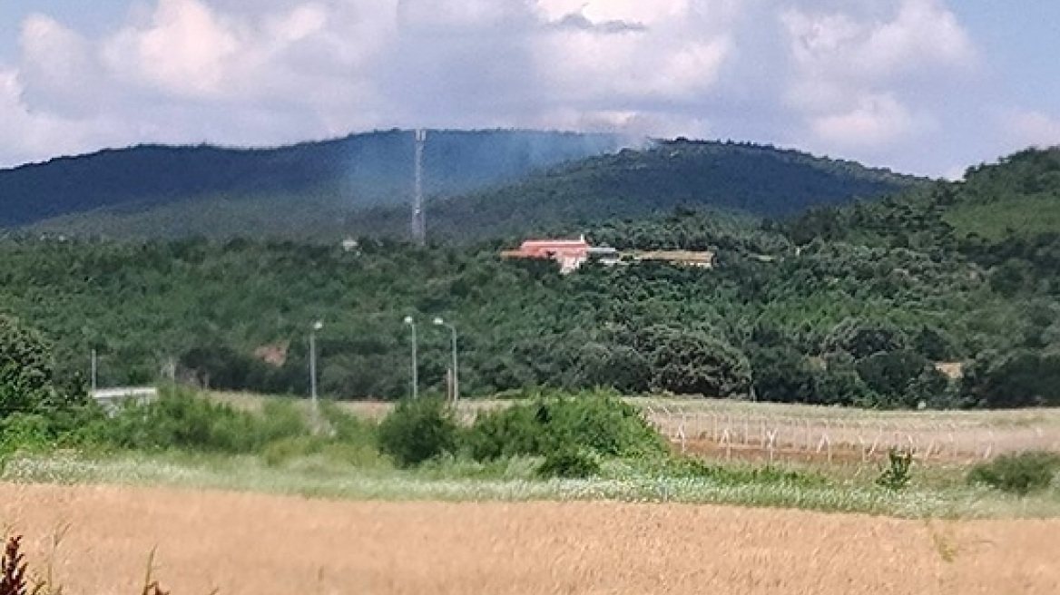 Φωτιά σε πευκοδάσος στο Αετοχώρι Αλεξανδρούπολης