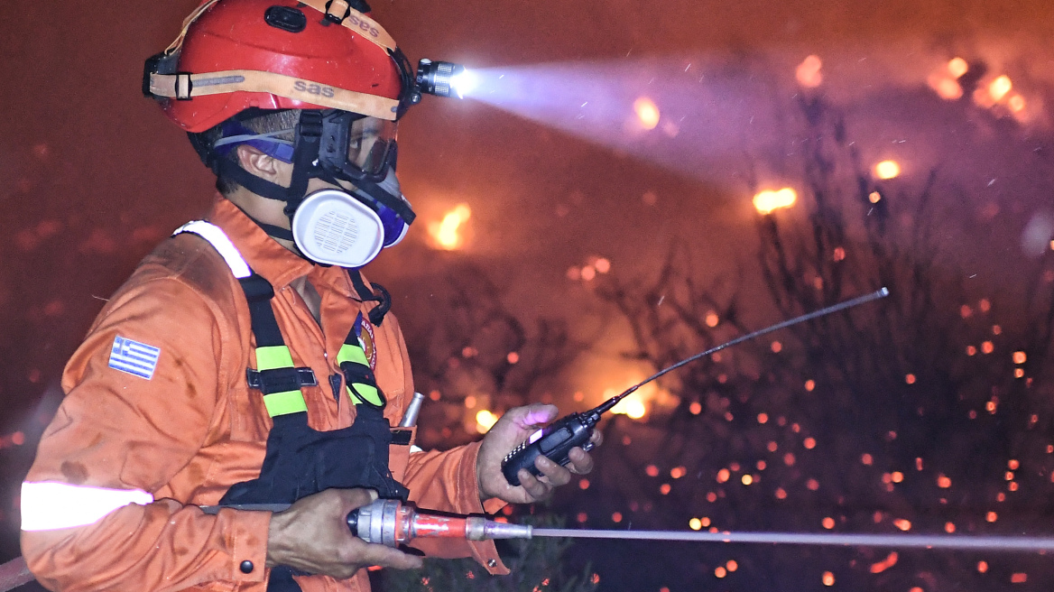 Υπό έλεγχο η φωτιά στα Σπάτα δίπλα στο Αττικό Ζωολογικό Πάρκο