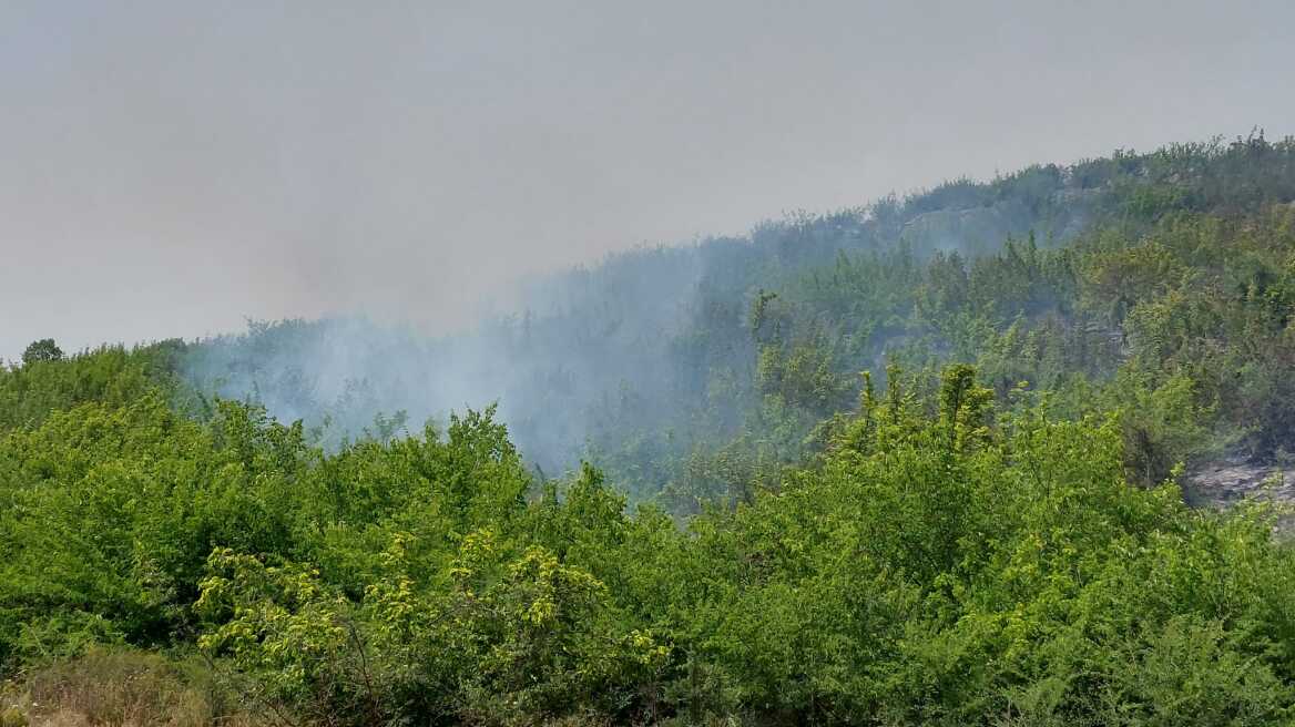 Συνεχίζεται η μεγάλη μάχη με την πυρκαγιά στην Πέλλα - Επιχειρούν έξι εναέρια μέσα