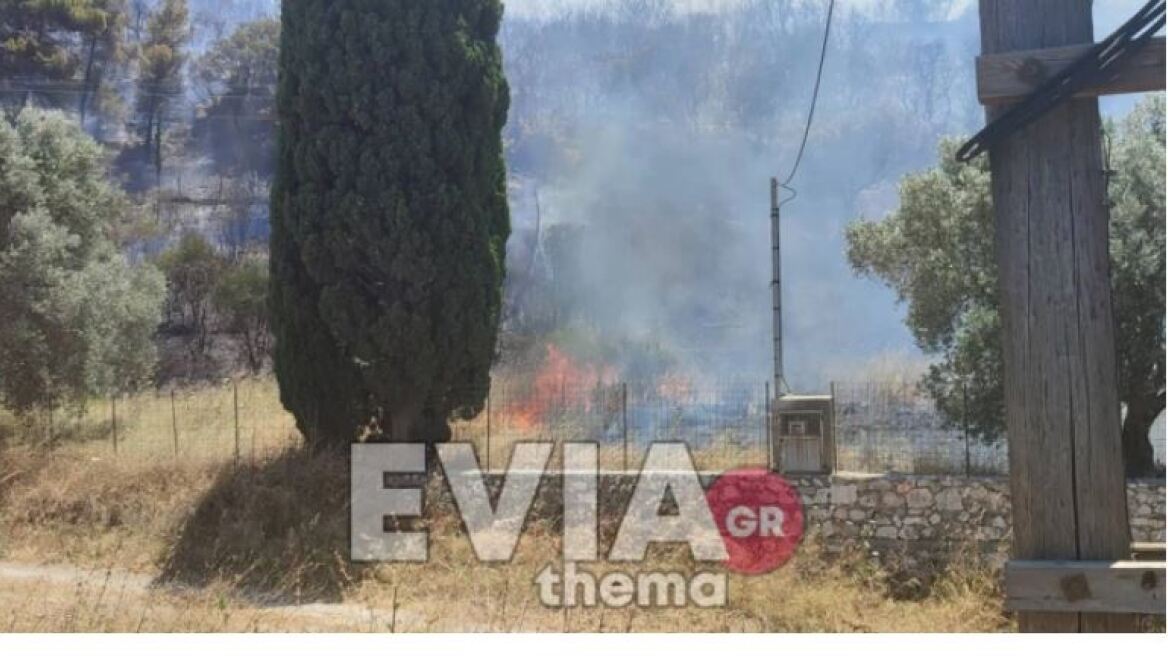 Υπό έλεγχο η πυρκαγιά σε δασική έκταση στο Αλιβέρι Ευβοίας