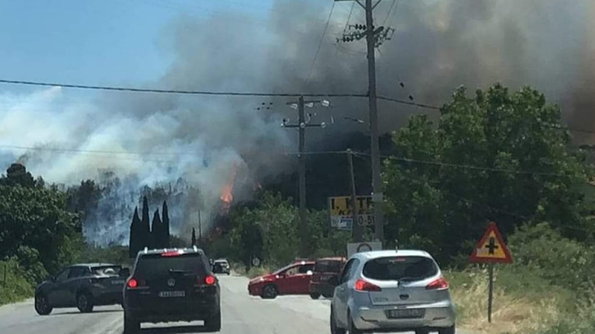 Εύβοια: Πυρκαγιά σε δασική έκταση στο Αλιβέρι