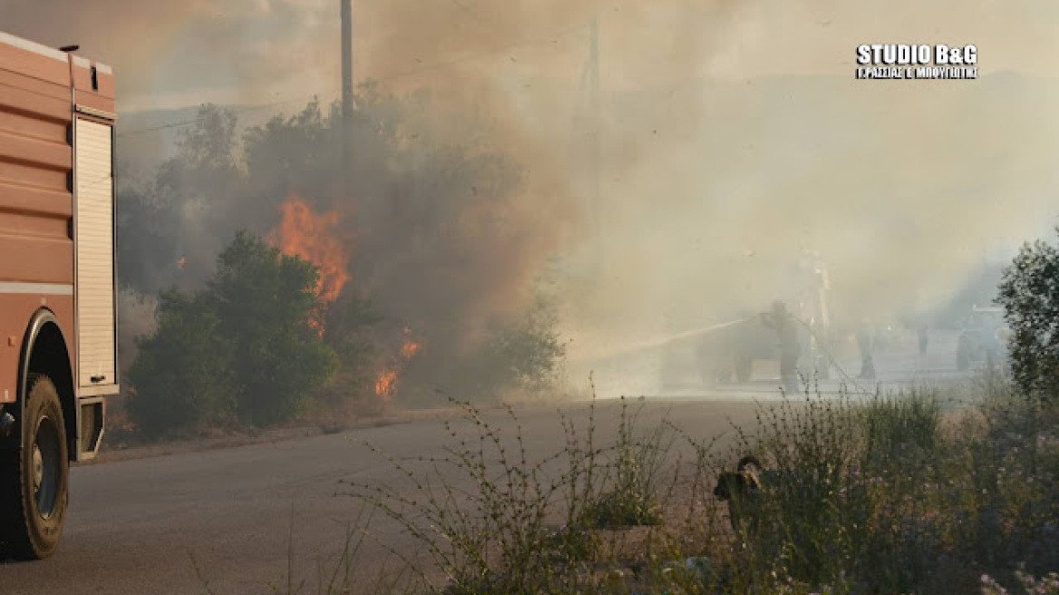 Φωτιά στο Κρανίδι Αργολίδας - Εκκενώθηκε πολυτελές ξενοδοχείο 