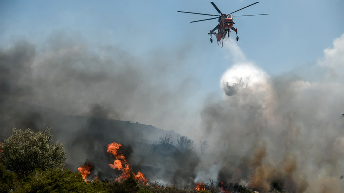 Φωτιά σε αγροτική έκταση στη Φωκίδα - Σηκώθηκαν πέντε αεροσκάφη