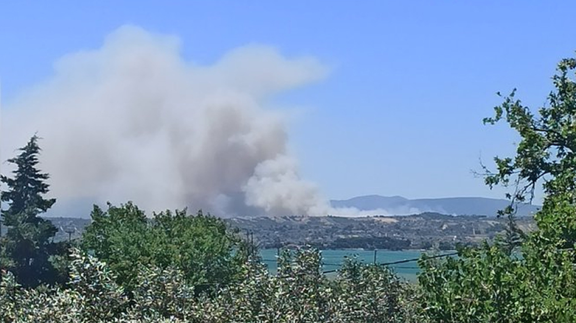 Φωτιά στο Σχηματάρι: Στο μέτωπο οι Ρουμάνοι πυροσβέστες - Ελεγχόμενη η κατάσταση