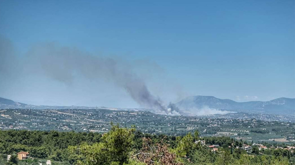 Μεγάλη φωτιά στο Σχηματάρι Βοιωτίας