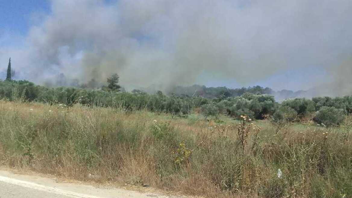 Φωτιά τώρα σε δασική έκταση στο Καλαμάκι Αχαΐας