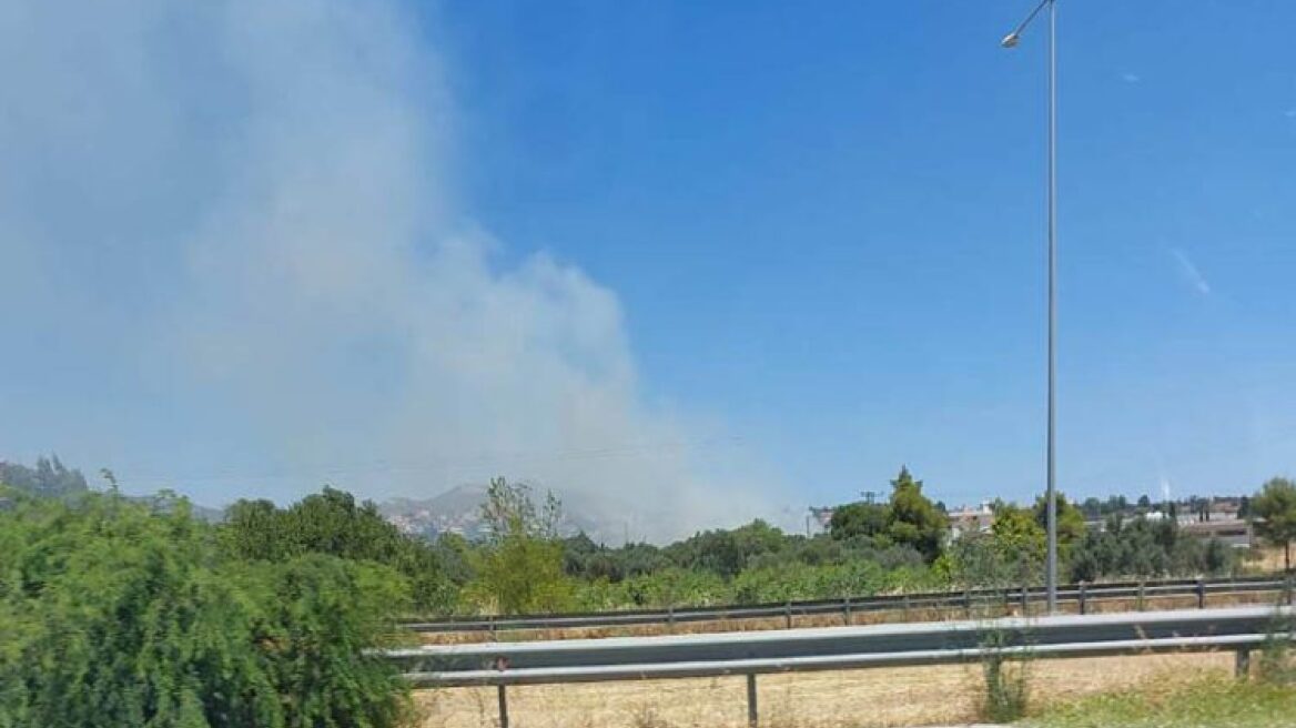 Υπό μερικό έλεγχο η φωτιά στη λεωφόρο Μαραθώνος