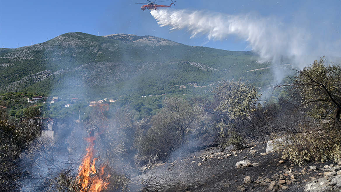 Συνελήφθη ύποπτος για εμπρησμό στο Πόρτο Γερμενό  - Οριοθετημένο το μέτωπο, έχουν κοπάσει οι άνεμοι  