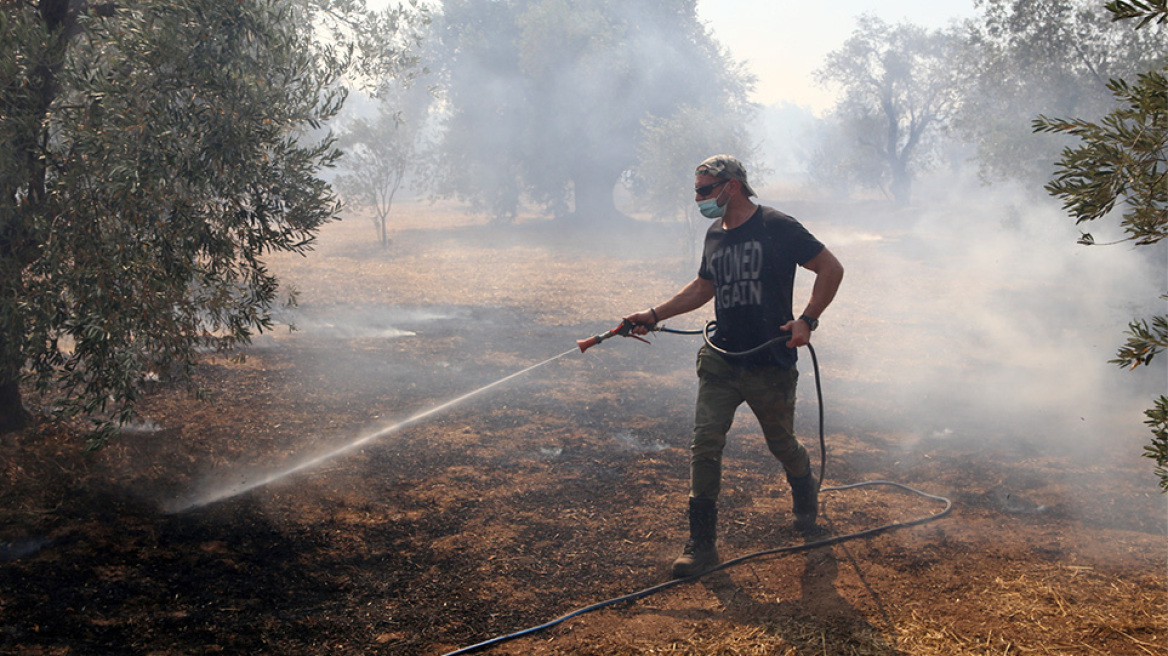 Φωτιές: Σε ύφεση η πυρκαγιά στο Κρανίδι, σε εξέλιξη με βελτιωμένη εικόνα το μέτωπο στην Ιτέα 