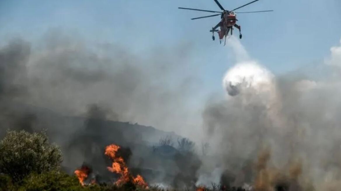 Πυροσβεστική: 50 δασικές πυρκαγιές στη χώρα το τελευταίο 24ωρο - Σε ύφεση τα μέτωπα σε Ροδιά και Ζαχάρω