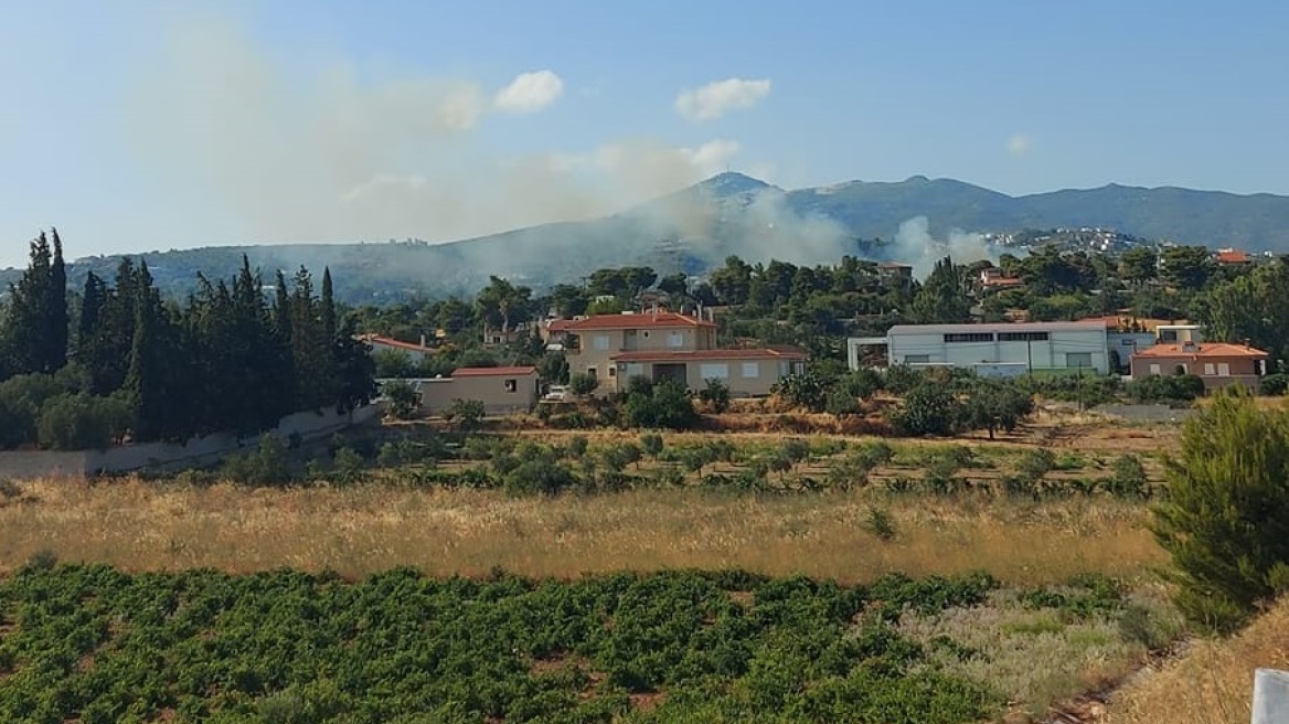 Φωτιά κοντά σε σχολείο στην Παλλήνη