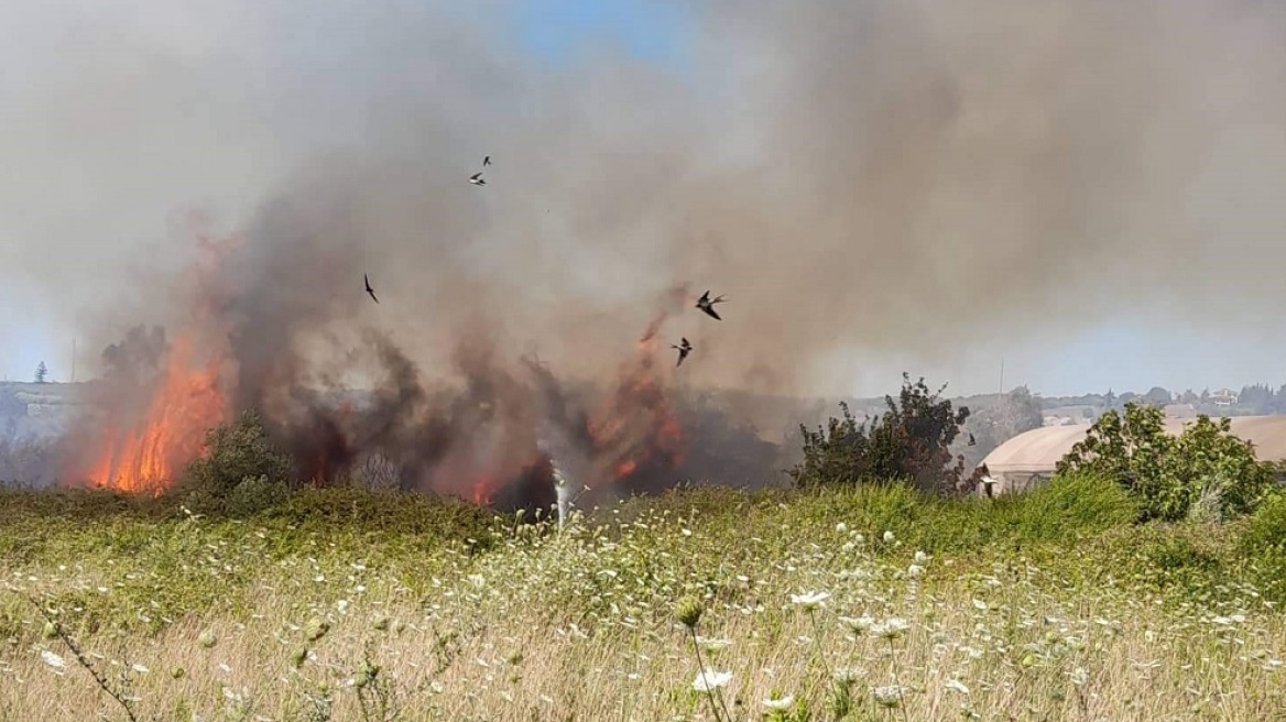 Φωτιές σε Κεφαλονιά και Πρέβεζα