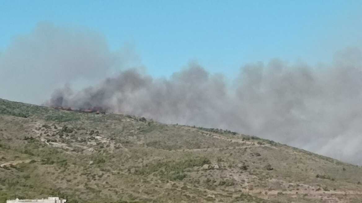 Φωτιά στην Πεντέλη: Δυνάμεις της ΓΑΔΑ συμβάλλουν στο έργο των πυροσβεστών 