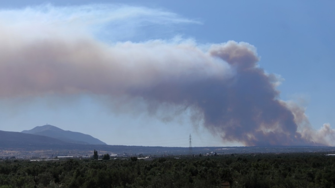 Φωτιά στα Μέγαρα: Εξασθένηση των ανέμων τις επόμενες 14 ώρες προβλέπει το Εθνικό Αστεροσκοπείο