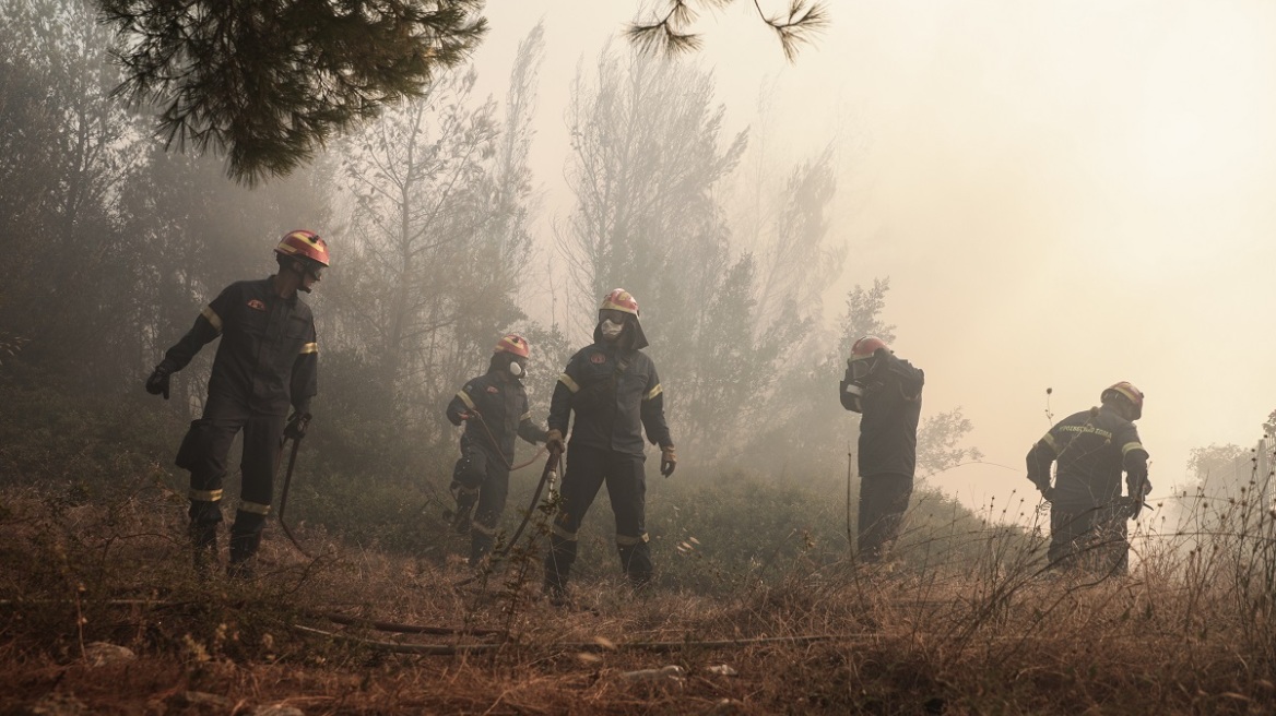 Ευθύμης Λέκκας: Η διαχείριση των πυρκαγιών ήταν πολύ καλή