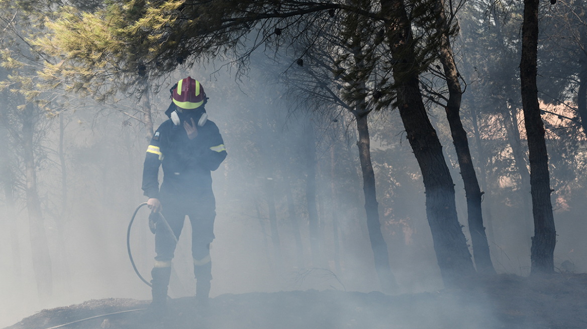 Εισαγγελική παρέμβαση για τις πυρκαγιές σε Πεντέλη και Μέγαρα