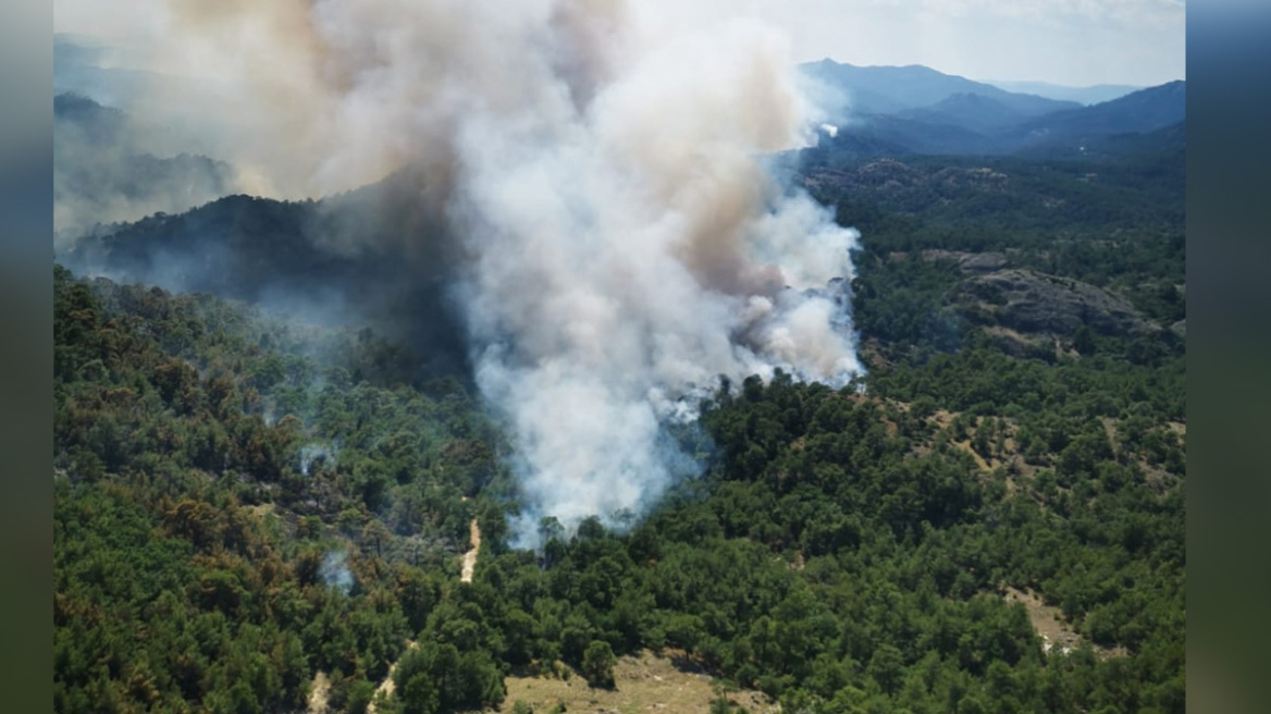 Συγκλονιστικές εικόνες από τα ελικόπτερα του Στρατού - Η πύρινη λαίλαπα σαρώνει το δάσος της Δαδιάς