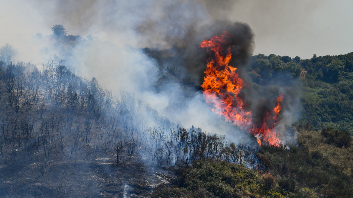 Υψηλός κίνδυνος πυρκαγιάς αύριο Κυριακή 24 Ιουλίου - Δείτε τον χάρτη