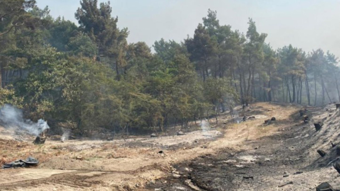 Φωτιά στη Δαδιά: Στην εθνική οδό κατευθύνονται οι φλόγες - Εκτός κινδύνου το χωριό, άθικτα τα οικοσυστήματα 