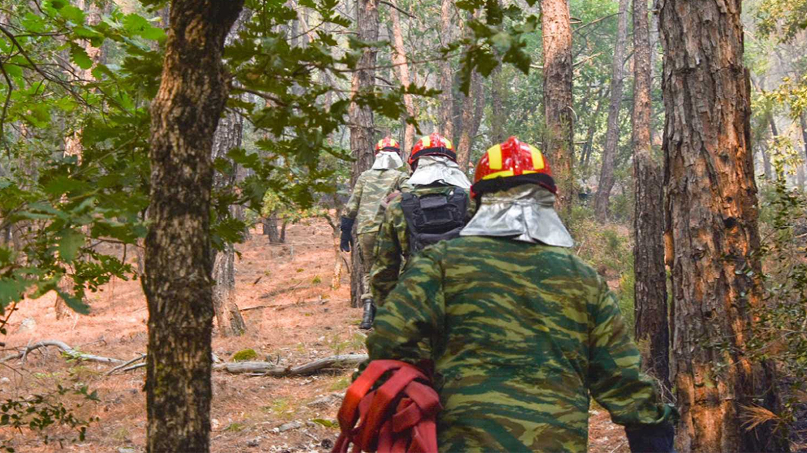 Τέταρτη ημέρα «μάχης» στη Δαδιά - Αντιπυρικές ζώνες στην καρδιά του Εθνικού Πάρκου