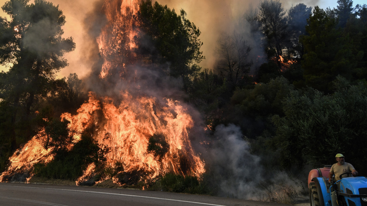 Ολονύχτια μάχη με τις φλόγες στα Κρέστενα Ηλείας - «Εγκληματική ενέργεια» λέει ο δήμαρχος 