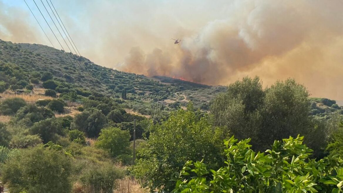 Φωτιά στη Μεσσηνία: Χωρίς ενεργό μέτωπο η φωτιά στην περιοχή Ακριτοχώρι