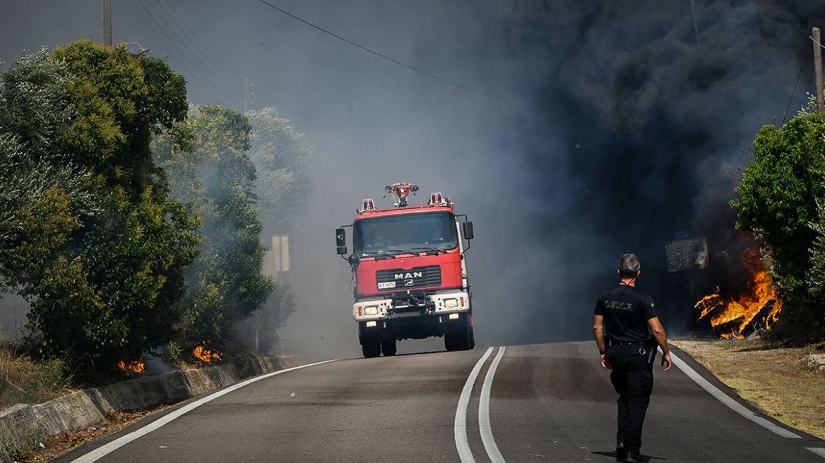 Πώς πάνε οι φωτιές σε Δαδιά, Λέσβο και Κρέστενα