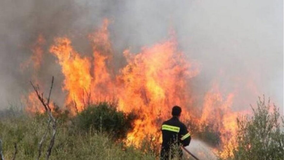 Ελεύθερος ο ηλικιωμένος που συνελήφθη για εμπρησμό στην Καλλιθέα Πατρών