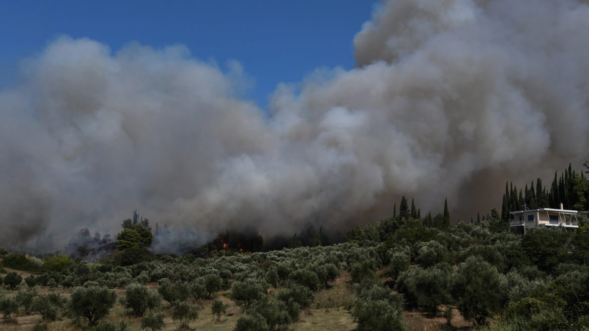 Φωτιά στην Ηλεία: Σε ύφεση και χωρίς ενεργό μέτωπο