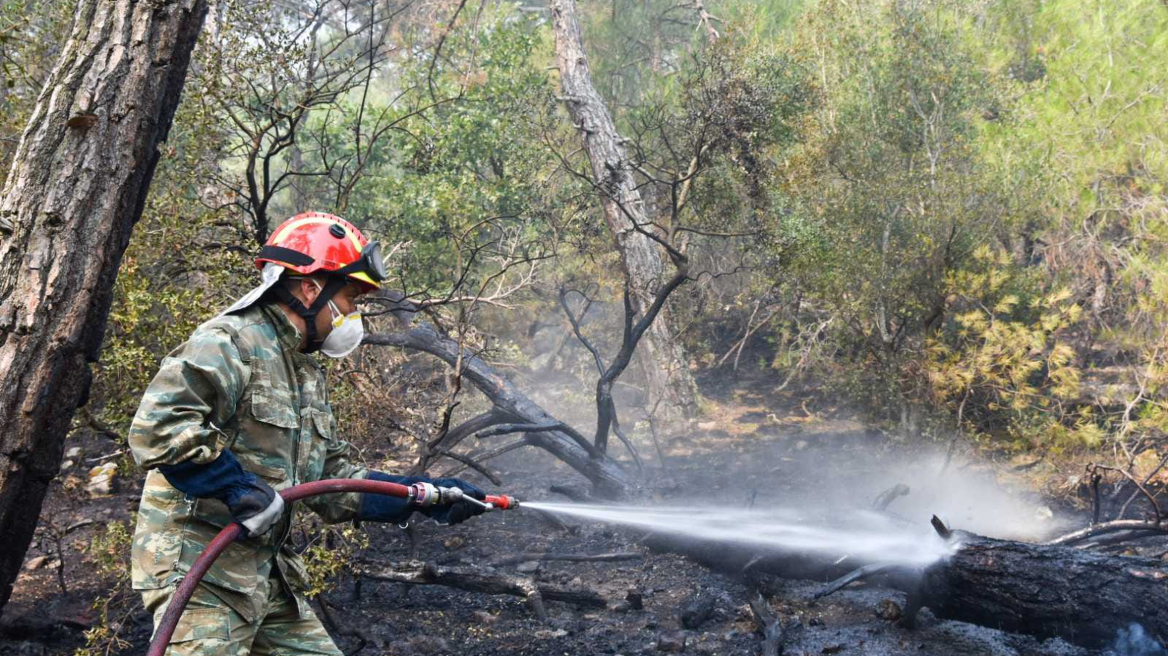 Φωτιά στη Δαδιά: Συνεχίζεται η μάχη με διάσπαρτες εστίες